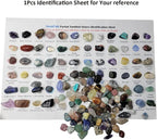 800Pcs+ Gemstones and Crystals Set, 30Kinds+ Bulk Rocks and Minerals Science Kit - Image 5