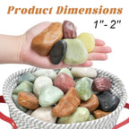5 lb Pebbles for Indoor Plants, 1-2 Inch Decorative Rocks for Potted Plants - Image 2