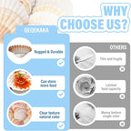 6PCS Scallop Shells 4‘’-4.5" Natural Sea Shells Yellow & Pink Hawaiian Scallop - Image 6