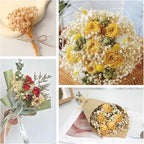 6500+ Mini Dried Baby's Breath Flowers, Wedding Wreath, Card Making, Home Decor - Image 2