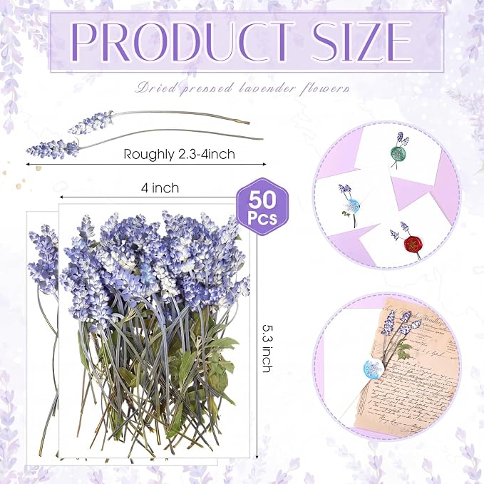 Wavwavw 50 Pcs Pressed Dried Lavender Flowers Stems Natural Preserved Real - Image 2