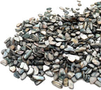 Crushed Shells for Crafts, Sea Shells for DIY Art, Vase Fillers Table Scatter - Image 2