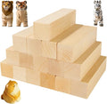 QTLCOHD 16 Pcs Basswood Carving Blocks 6 x 1.5 x 1.5 inch | Whittling Bass Wood by QTLCOHD