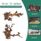 PINVNBY Natural Large Driftwood - Image 2