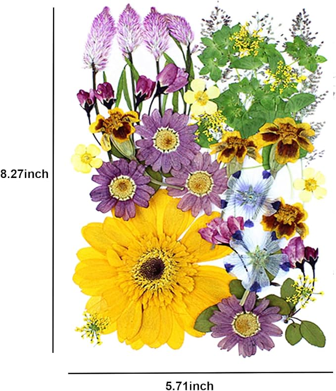 35Pcs Dried Pressed Flowers for Crafts Resin DIY Art Natural Dry Floral Large - Image 5