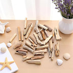 20 Pcs Natural Driftwood Pieces Branch Slices Craft Sticks Beach Decor - Image 3