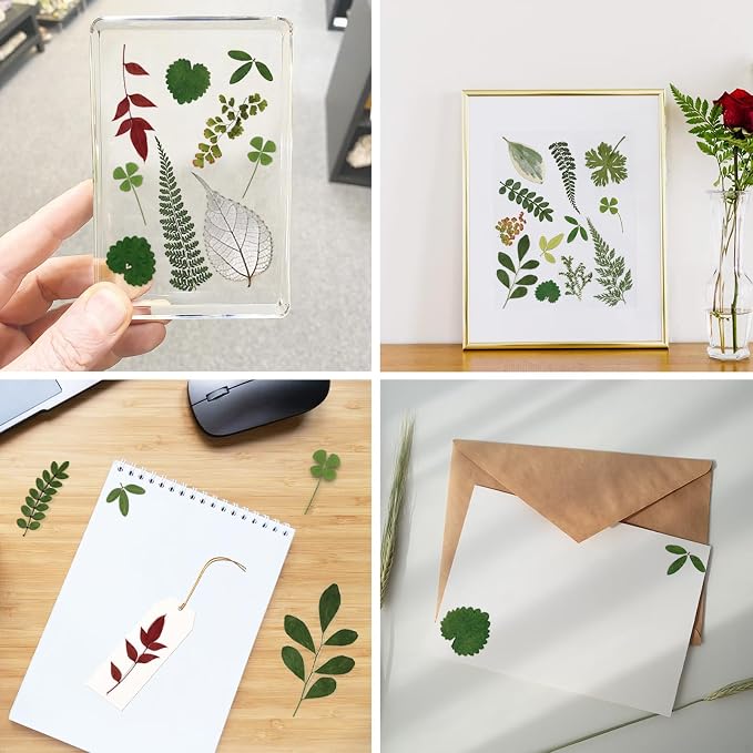 84 Pcs Dried Pressed Leaves Flowers Real Natural Dried Leaves Plant Kit - Image 5