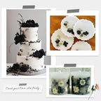 78 Pcs Black and White Dried Pressed Flowers - Image 4