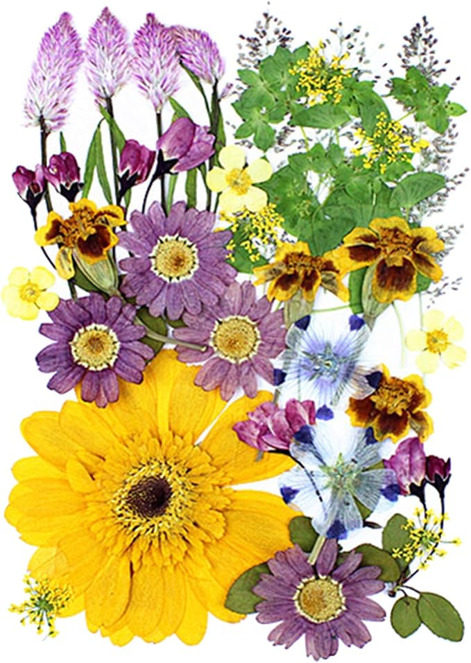 35Pcs Dried Pressed Flowers for Crafts Resin DIY Art Natural Dry Floral Large by TopFunny