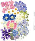 A4 Large Dried Pressed Flower for Resin Real Dry Natural Flowers Leaves for by ZQmino