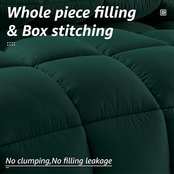 HYLEORY All Season California King Size Bed Comforter - Image 2