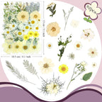 84 Pcs White Dried Pressed Flowers - Image 6