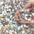 FANTIAN 2 lbs Natural Mixed Color Pea Gravel Pebbles, 3/8 inch Decorative Rocks by FANTIAN-GardeningMakesLifeBetter