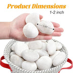 5 lb Natural Polished White Pebbles, 1-2 Inch Decorative White Rocks - Image 2