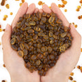 QEQEKAKA Sea Glass Stones for Crafts About 1LB Brownish Yellow Glass Pebbles by QEQEKAKA