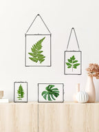 REDHUGO Hanging Pressed Flower Frames, Double Glass Floating Picture Frame - Image 3