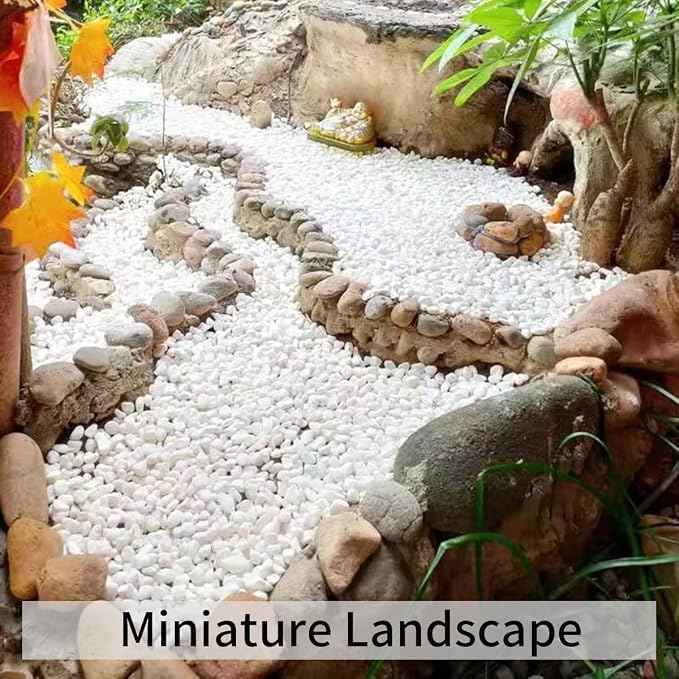 FANTIAN 10LB Natural Succulent Gravel Decorative White Rocks - Image 6