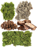 SuperMoss Moss Mix – Premium Decorative Moss - Image 2