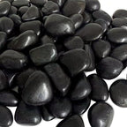 FANTIAN 20 Pounds Black Natural Decorative River Pebbles, 2-3 Inch Black by FANTIAN-GardeningMakesLifeBetter