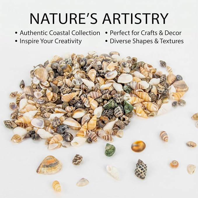 MAQIHAN Tiny Seashells for Crafts - Image 2