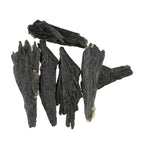 ColouredRocks 5pcs Black Kyanite Wings Crystals, Raw Stones, Rough Gemstones by ColouredRocks