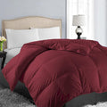 EASELAND Oversized King Down Alternative Comforter by EASELAND