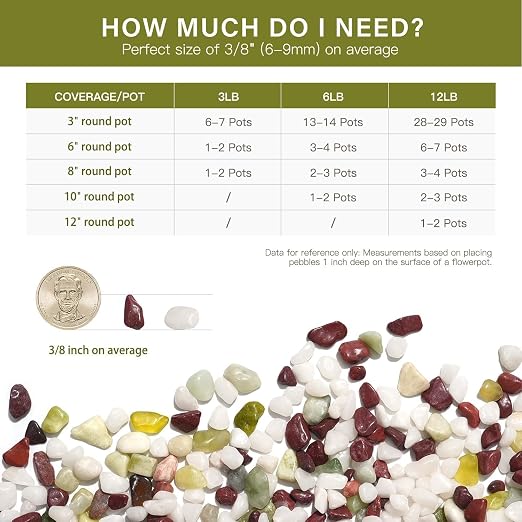 NUPICK 3 lbs Pebbles for Indoor Plants, 3/8 Inch Pea Gravel for Fish Tank - Image 6
