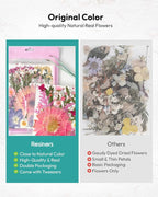 Dried Pressed Flowers, Resiners Dried Flowers - Image 9