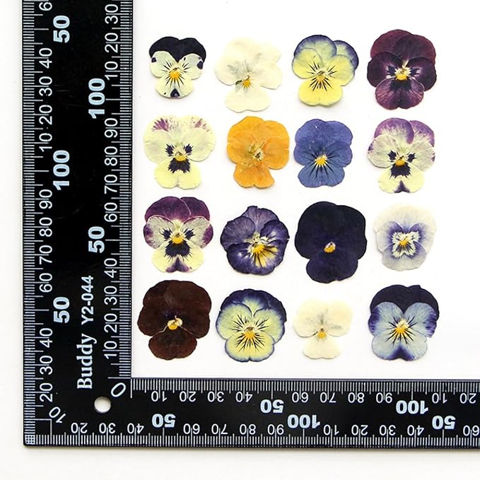 54 Pcs Dried Pressed Flowers for Resin DIY Art Crafts Natural Dry Floral Epoxy - Image 6
