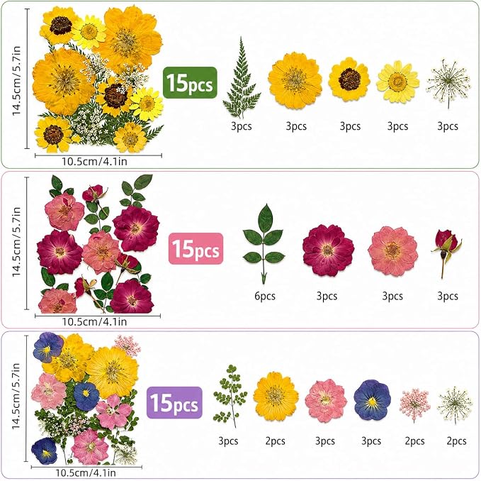 180 pcs Dried Flowers for Resin, Natural Flowers and Leaves Kit - Image 2