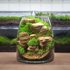 Natural Rocks Pagoda Stones 1-2.5 Inches Decorative Rocks - Image 4