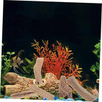 SHINEOFI Natural Driftwood Pieces - Image 5