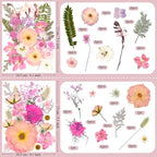 92 Pcs Pink Pressed Dried Flowers - Image 6