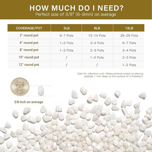 NUPICK 3 lbs Pebbles for Indoor Plants, 3/8 Inch Pea Gravel for Fish Tank - Image 6