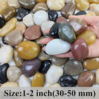 FANTIAN 2 lbs Pebbles for Plants, 1-2 inch Polished River Rocks for Plants - Image 2