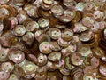 Sequins 8mm 800/Pkg by Golden+Leaf