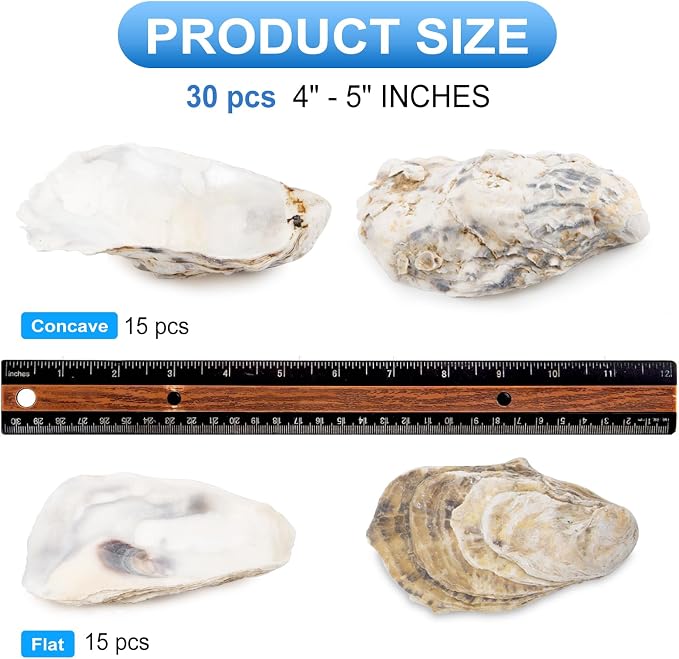 QEQEKAKA 30PCS Oyster Shells Flat & Concave 4"-5" Large Oyster Shells - Image 2
