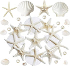 JQAQJU 16PCS Starfish and Scallop Shells by JQAQJU