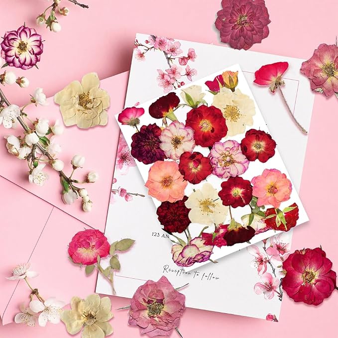 Rose Pressed Flowers for Crafts, TrendCart Real Natural Dry Pressed Flowers for - Image 3