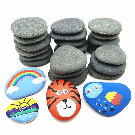 Lifetop 24PCS Rocks for Painting, Decoration, Medium Rocks for Painting by lifetop