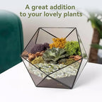 Pulovin 2.5LB Succulent and Cactus Pebbles, 1/5 Inch Jade Pebbles - Image 4