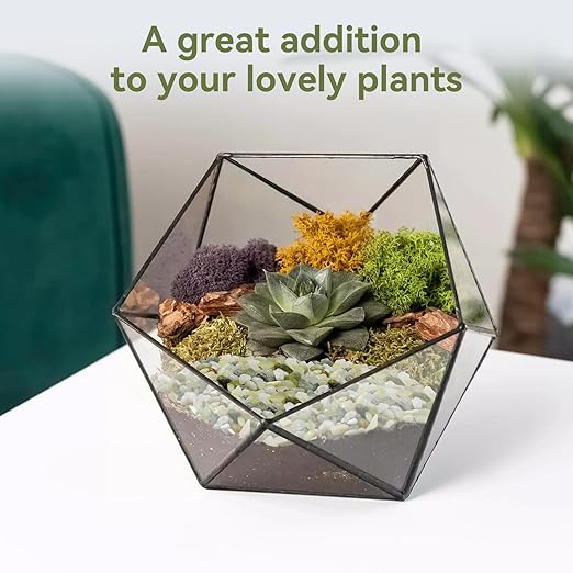 Pulovin 2.5LB Succulent and Cactus Pebbles, 1/5 Inch Jade Pebbles - Image 4