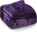 Super Fuzzy Soft Sherpa Fleece Weighted Blankets, 15 lbs Dual Sided Fluffy by EazfyPro