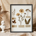 11×14 Shadow Box Frame Display Case - Image 6
