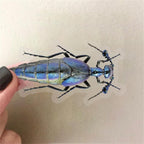50PCS Cartoon Insects Stickers Aesthetic PET Transparent Insect Decal - Image 3
