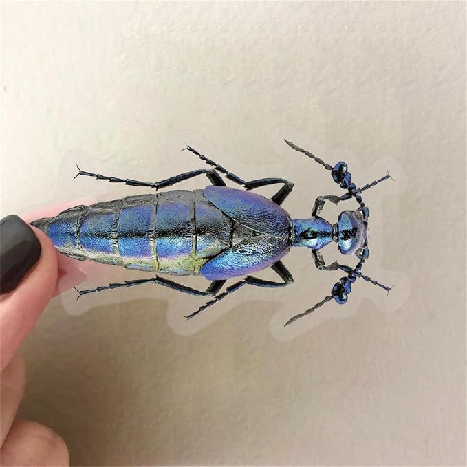 50PCS Cartoon Insects Stickers Aesthetic PET Transparent Insect Decal - Image 3