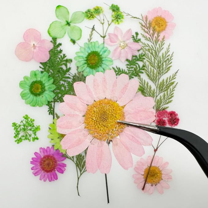 Woohome 126PCS Real Pressed Flowers, Dried Pressed Flowers Colorful Real - Image 3