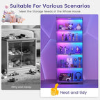 Dystler Glass Display Cabinet - Image 7