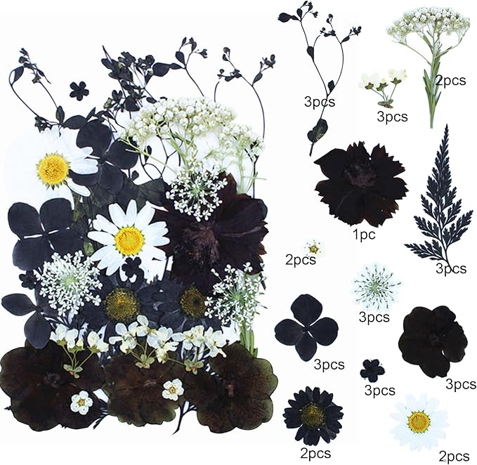 30Pcs Dried Pressed Flowers for Resin DIY Art Crafts Natural Dry Floral Daisy - Image 2
