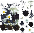 30Pcs Dried Pressed Flowers for Resin DIY Art Crafts Natural Dry Floral Daisy - Image 2